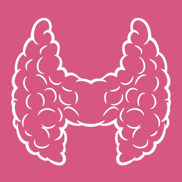 Schilddrüse & Immunsystem im Fokus.